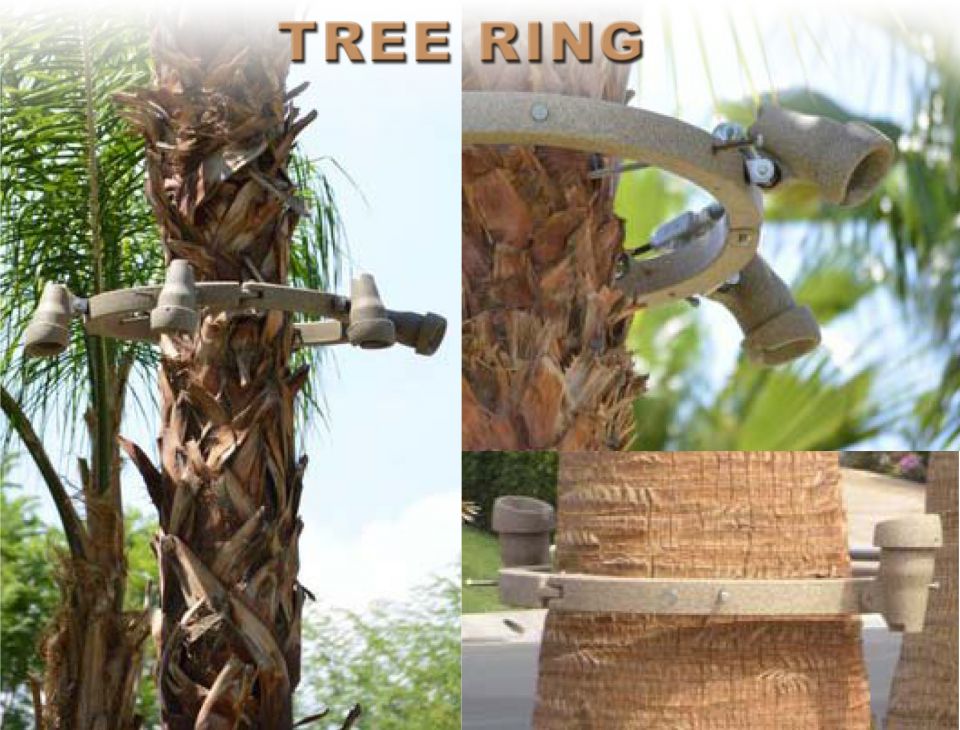 24" Tree Ring with 6 Lights