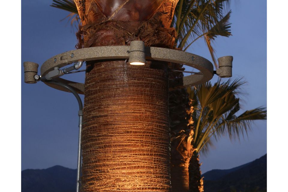 18" Tree Ring with 6 Lights